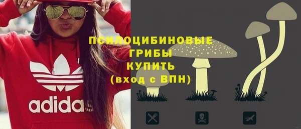 крисы Абдулино