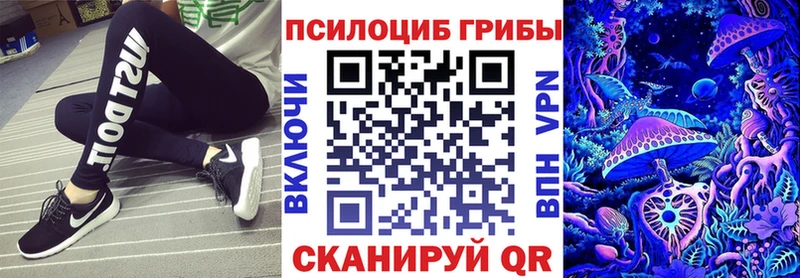 как найти закладки  Орск  МЕГА сайт  Псилоцибиновые грибы MAGIC MUSHROOMS 