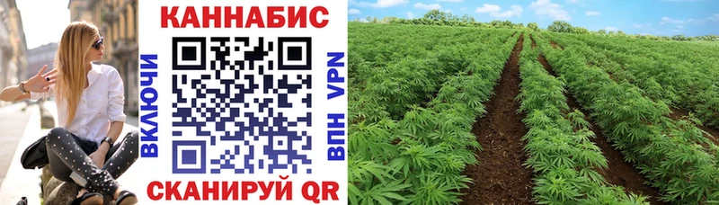 Бошки Шишки индика  гидра ссылки  Орск 